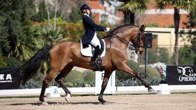 Baja incidencia de tarjetas amarillas por maltrato en Doma Clásica