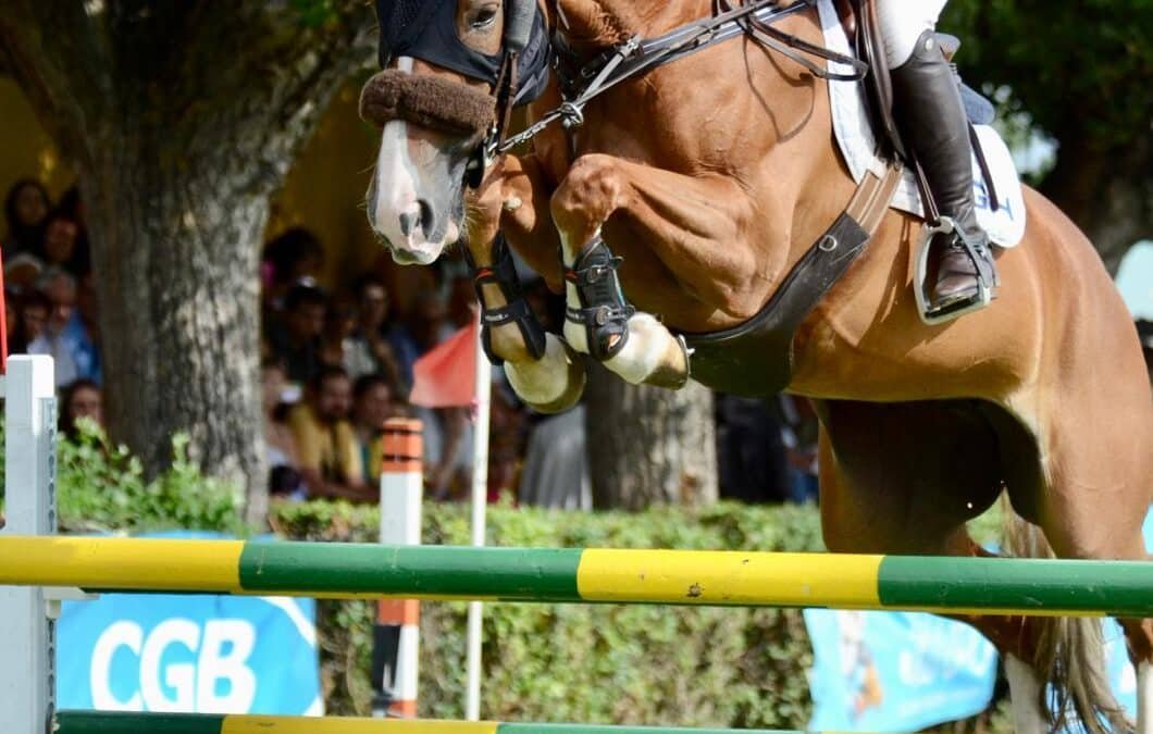 Yakarta de Olid vendida