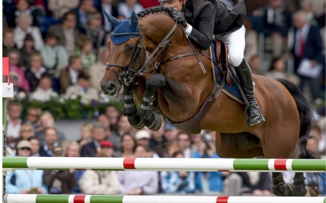 ¿Cuáles son los sementales cuyos potros son más cotizados en las subastas de salto?