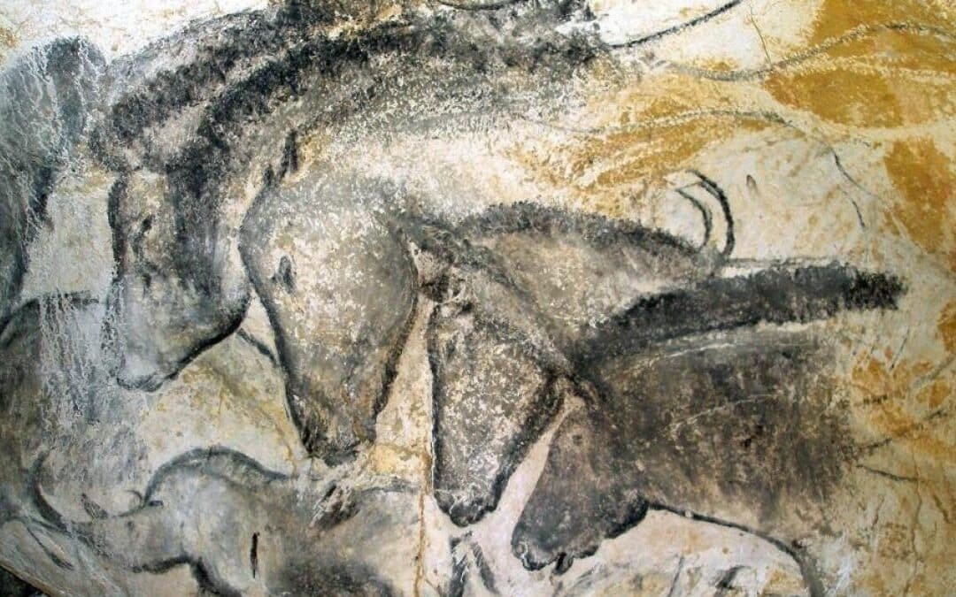 ¿Qué es la zooarqueología?