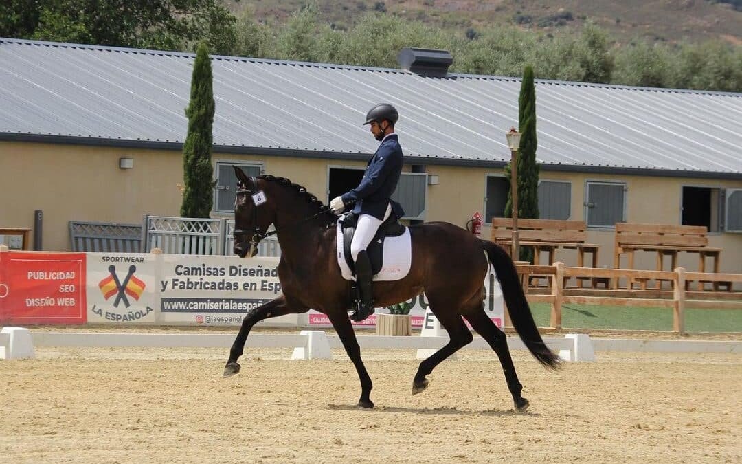 Oliva CAD se lleva la Copa ANCCE en potros 6 años de Doma Clásica