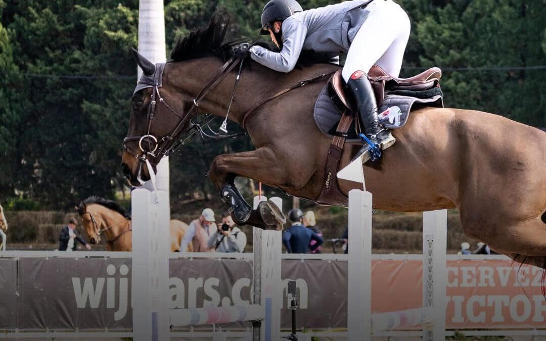 ¿Buscas suplementos de lo más completos para tu caballo?