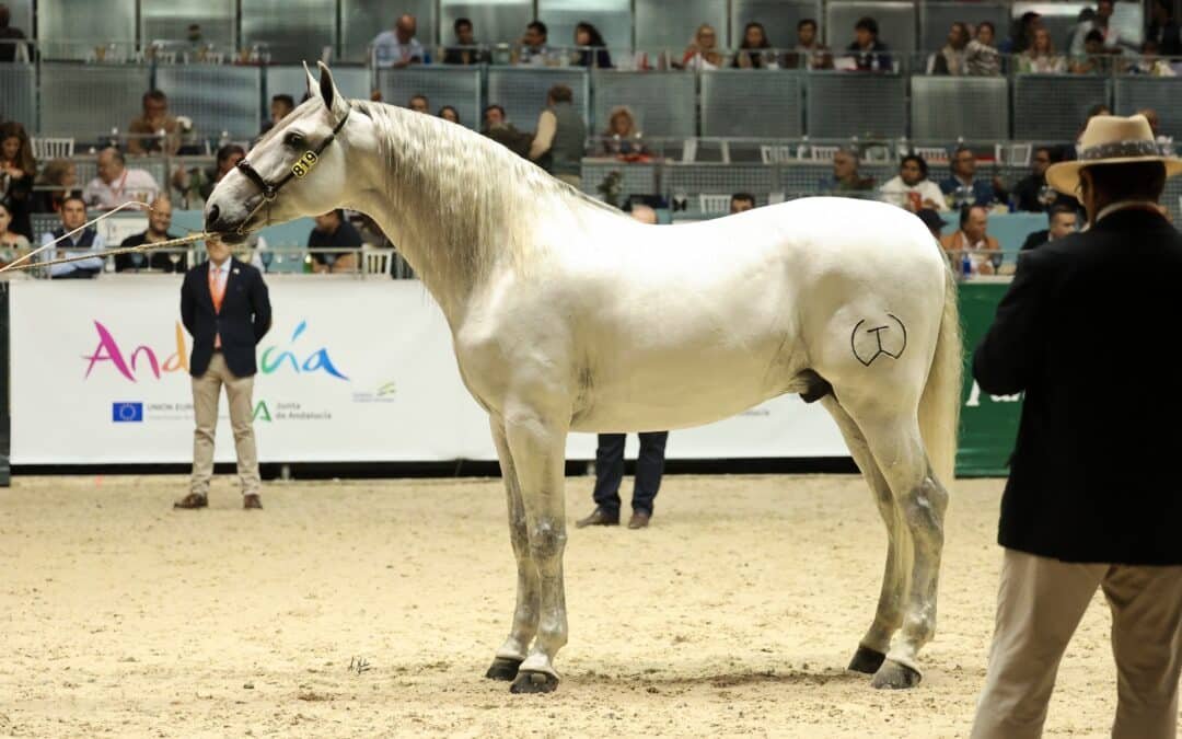 Grandes éxitos de SICAB 2023