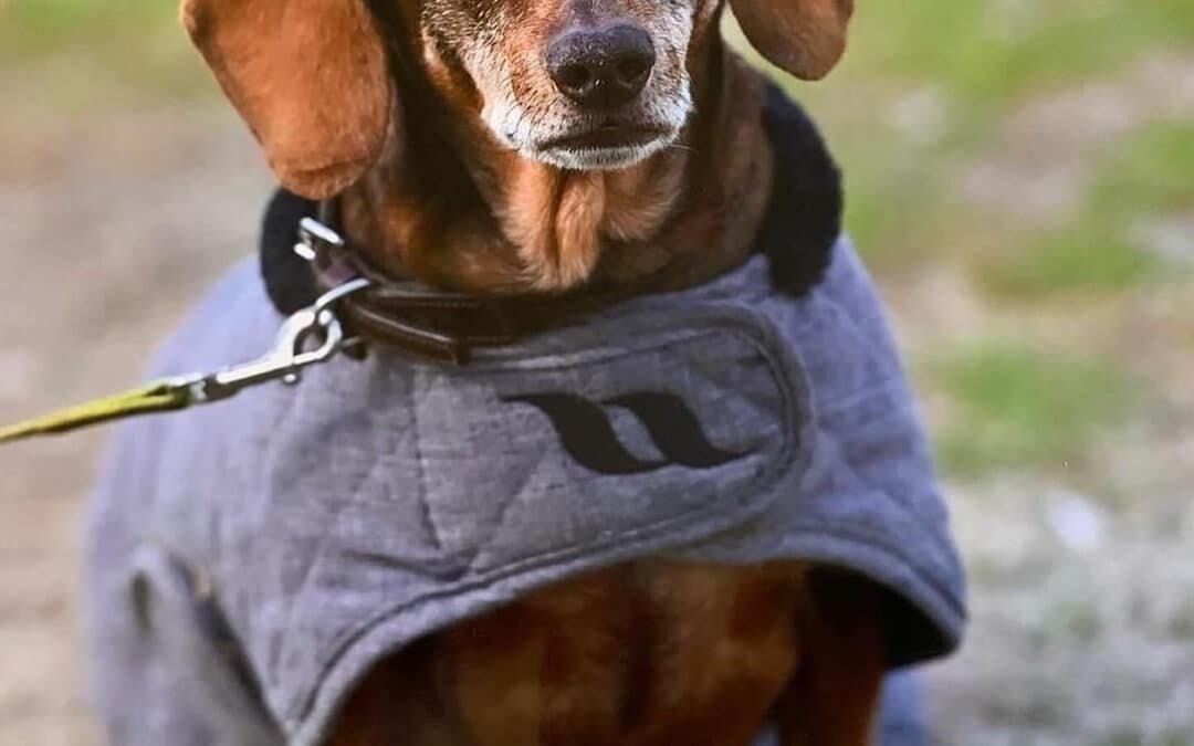 Pepi, te recordaremos siempre