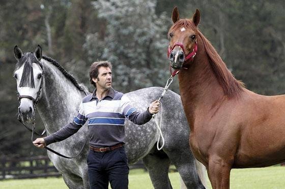 El secreto de la boca de los caballos por Pablo Hermoso de Mendoza