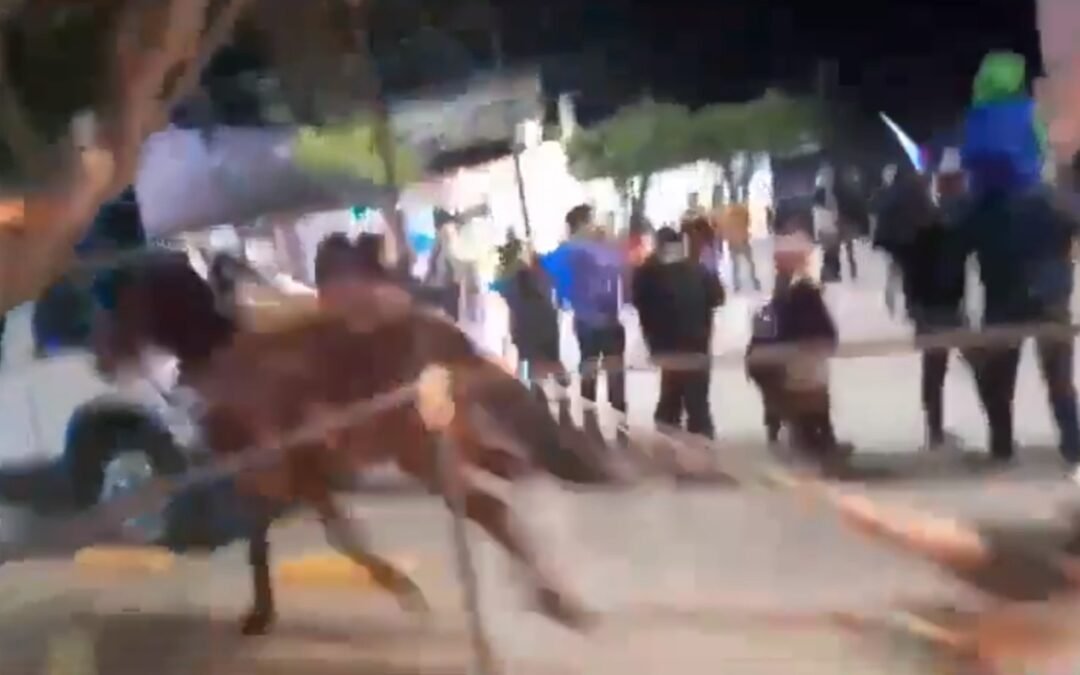 Se difunde un vídeo de una mujer siendo arrastrada por un caballo en un desfile navideño de México
