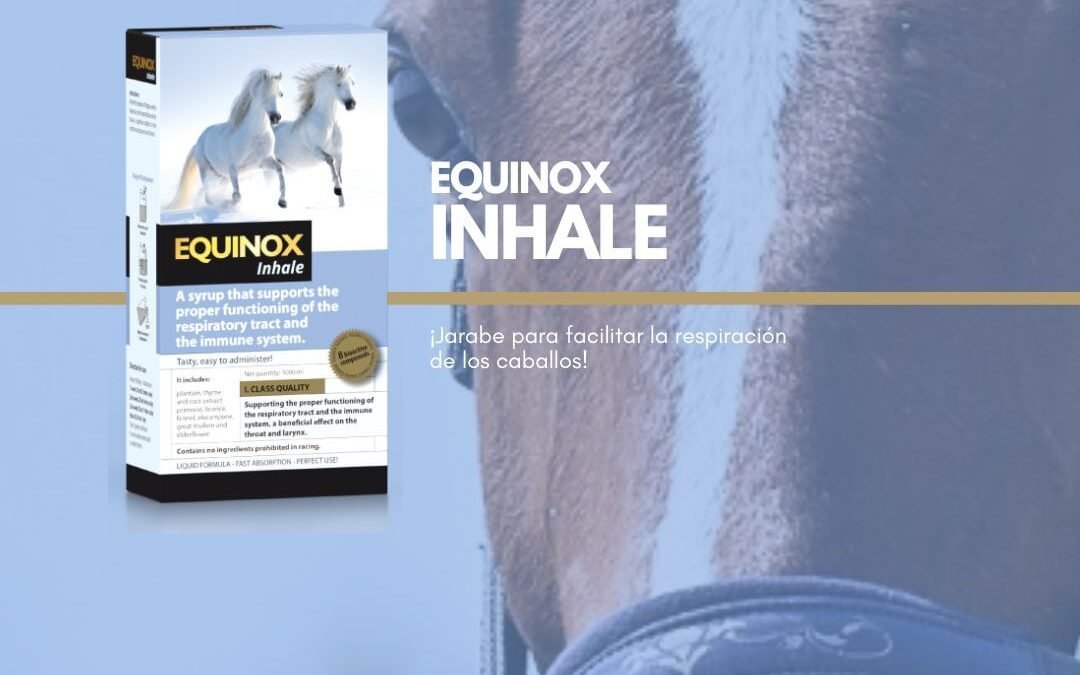 Equinox revoluciona el mundo hípico con Equinox Inhale