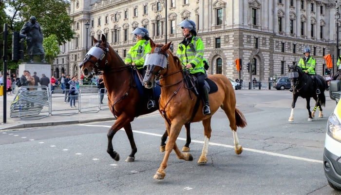 Los caballos de la policía de Inglaterra ayudan a hacer realidad los «deseos» de un niño con enfermedad terminal