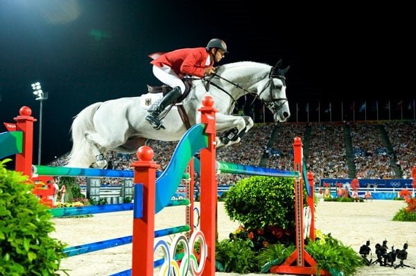 ¿Cuáles son los sementales que más dinero han generado en ventas de potros y embriones?