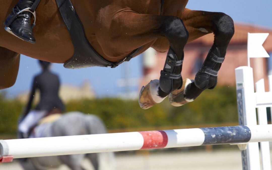 Review Salto 2023: ¿Cuáles son los mejores jinetes de este año?