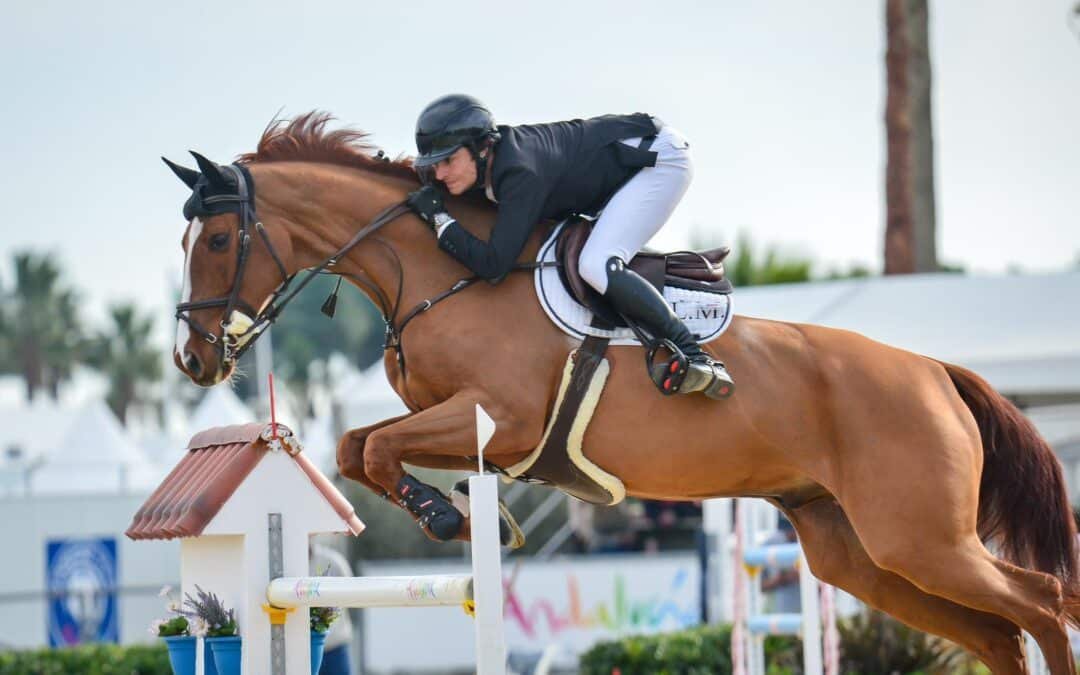 El español Luis Mateos Bernáldez vence el Gran Premio con ‘Chamant de Biolley’ en el Andalucía PRE Sunshine Tour