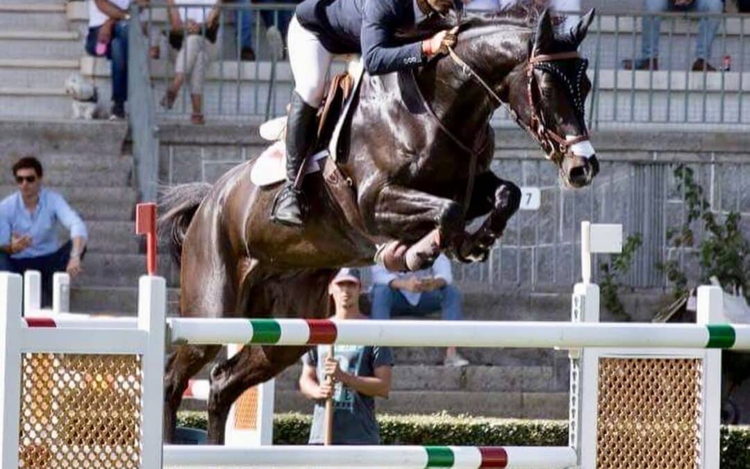 «Quisan Gran», la yegua de Leonardo Pereyra preñada de «Ermitage Kalone»