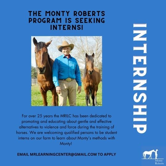 Oportunidad de Prácticas en el Programa de Transición de Caballos Monty Roberts