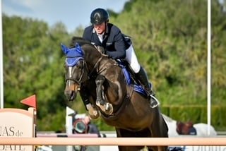 El alemán Helmut Schönstetter vence el Gran Premio con ‘Toulanda Degli Assi’ del Andalucía Pre Sunshine Tour