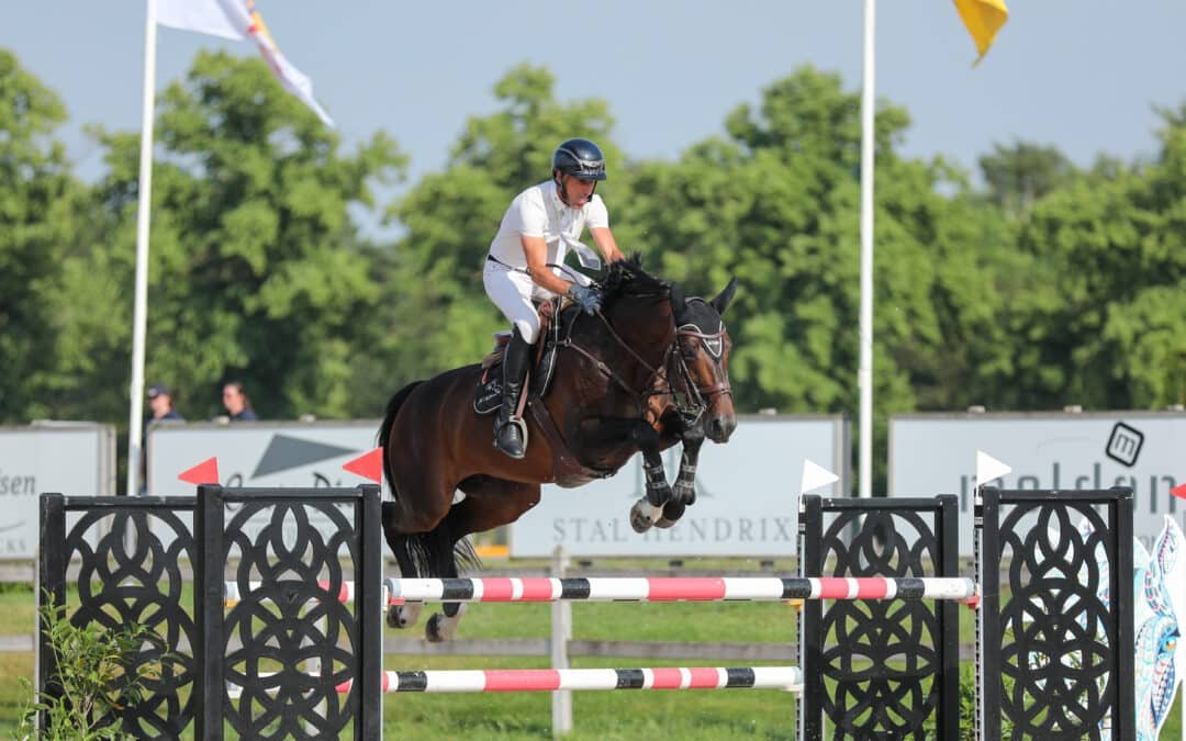 Foncetti vd Heffinck vendido a los Emiratos Árabes Unidos