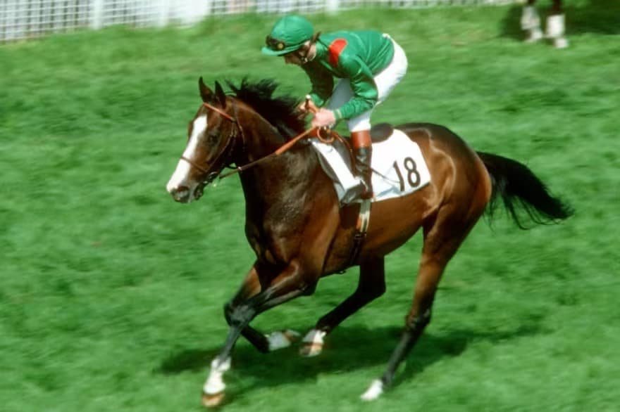 Shergar: La misteriosa desaparición de un campeón
