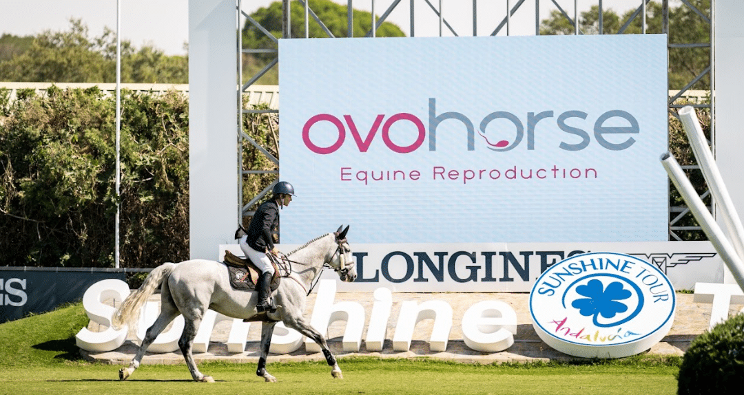 Descubre todo lo que puede ofrecer Ovohorse en el Sunshine Tour