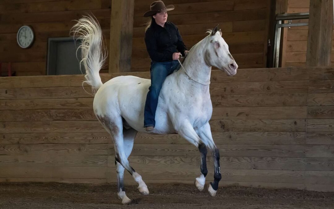 Endo, el Appaloosa ciego