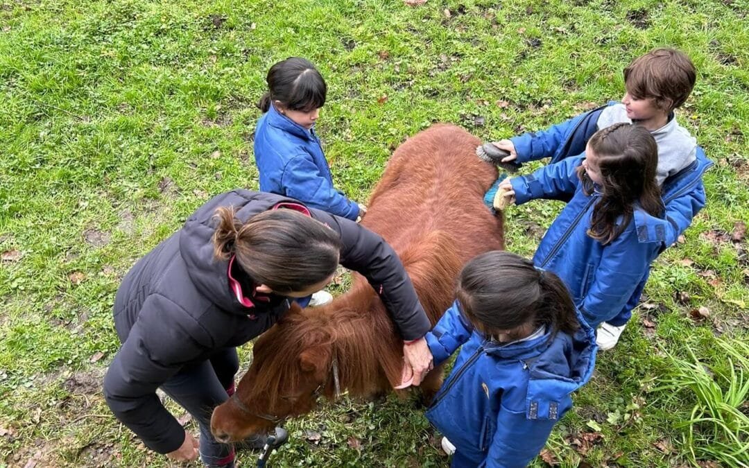 El programa ‘Los caballos también van al cole’ de la FHPA regresa con nueva emoción