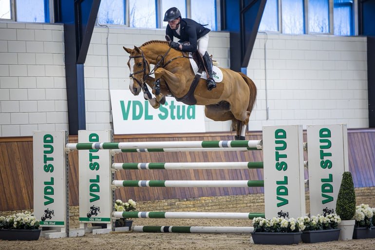 Sport Horse Auction presenta colección para su 12ª edición