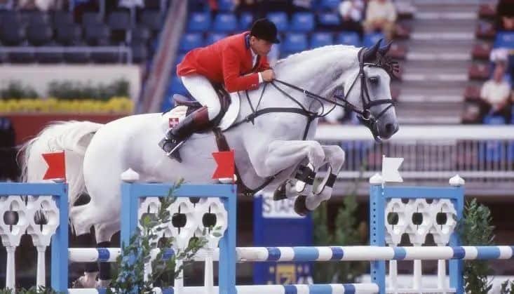#horseofalifetime