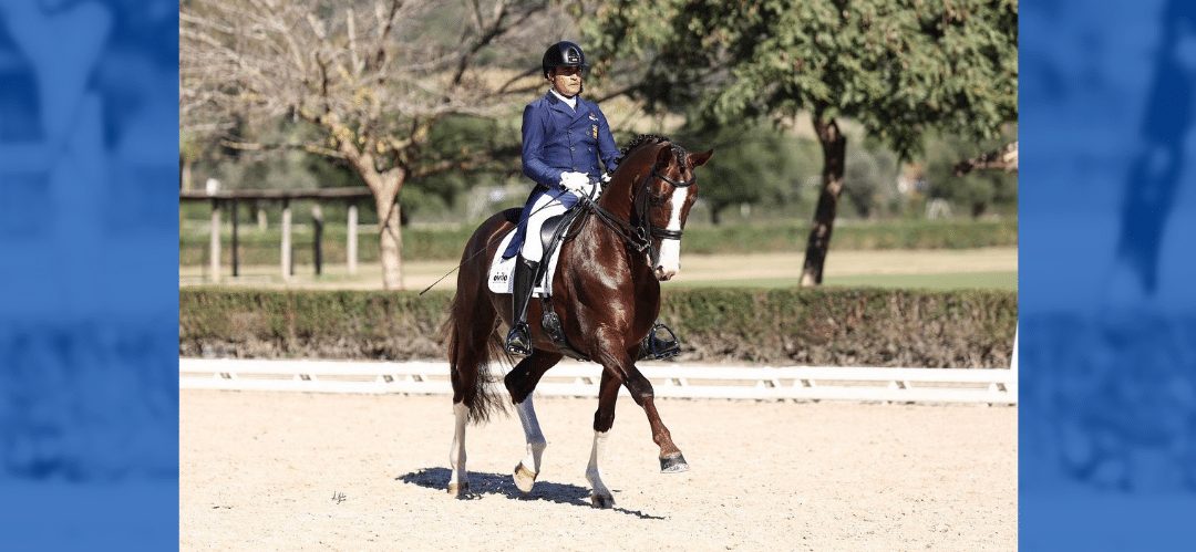 Arranca el calendario internacional de Doma Clásica español con los concursos de Jerez