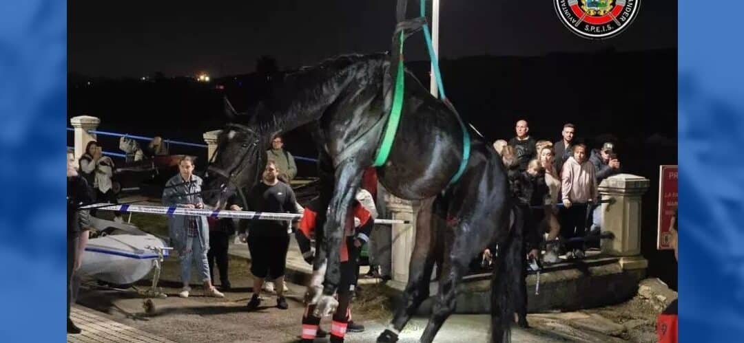 Bomberos de Santander rescatan a caballo herido en playa de La Maruca