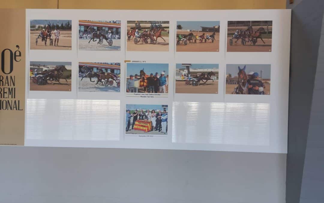 Retiran varias fotos de Catalina Cladera en el Hipódromo de Son Pardo