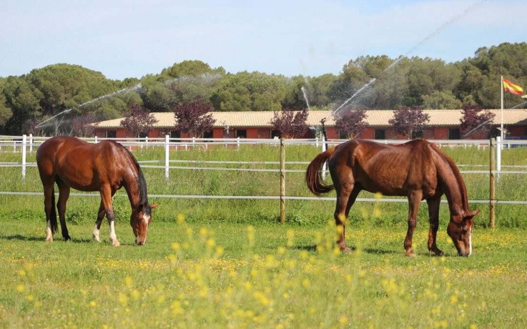 La Colaga, el proyecto más importante de Eduardo González Estébanez