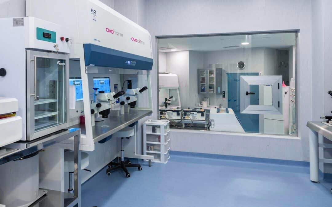 Ovohorse nos cuenta cómo preservar la línea celular de un caballo