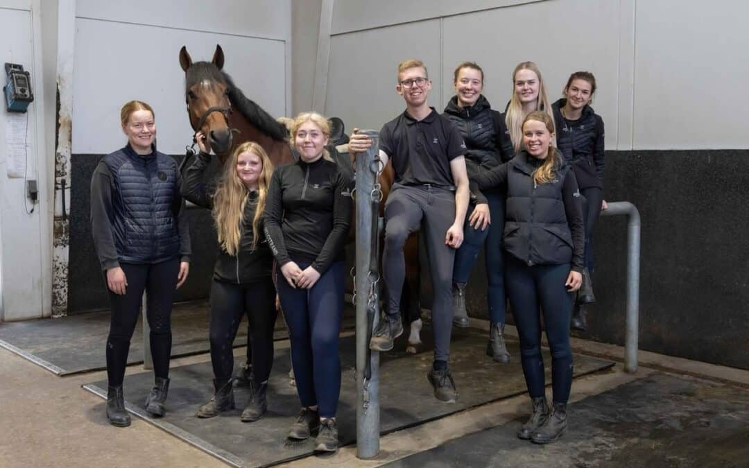 Helgstrand Dressage busca grooms