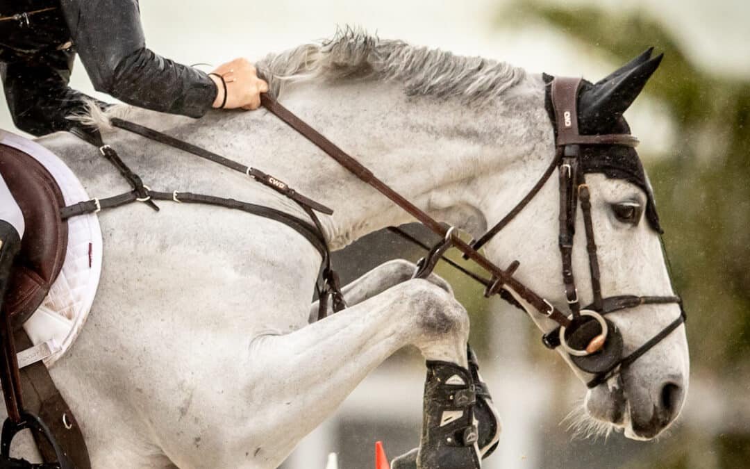 El británico Scott Brash se hace con el Gran Premio Stephex con ‘Hello Valentino’