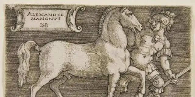 ¿Conoces a Bucéfalo?