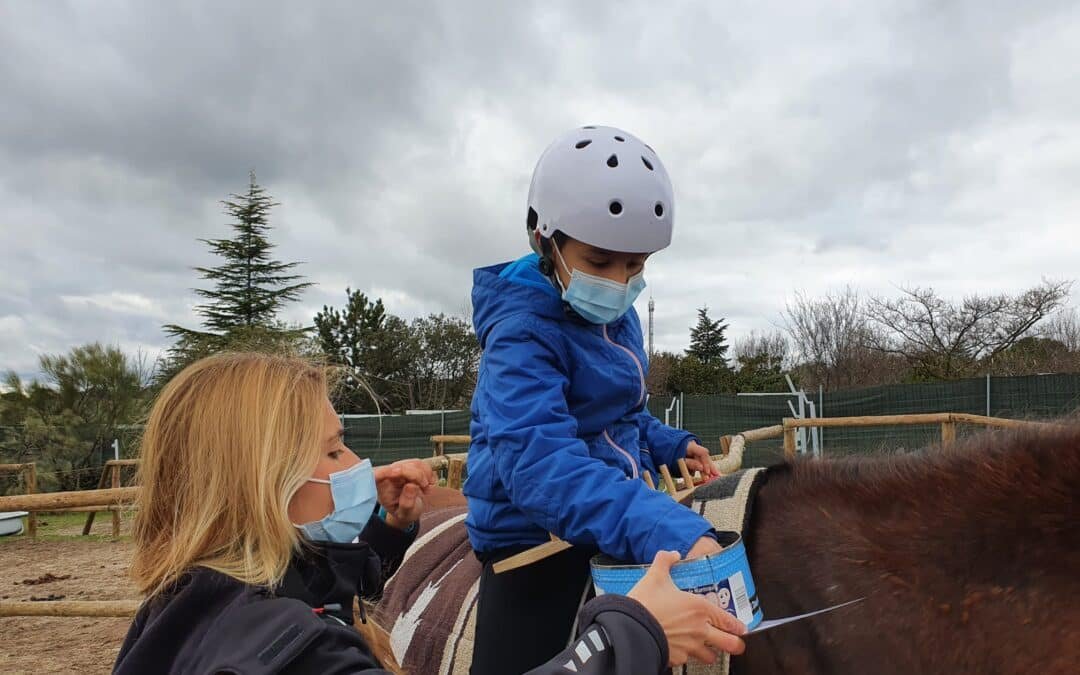 Ecrin terapias, un centro especializado en neurorrehabilitación con caballos para tratar patologías neurológicas