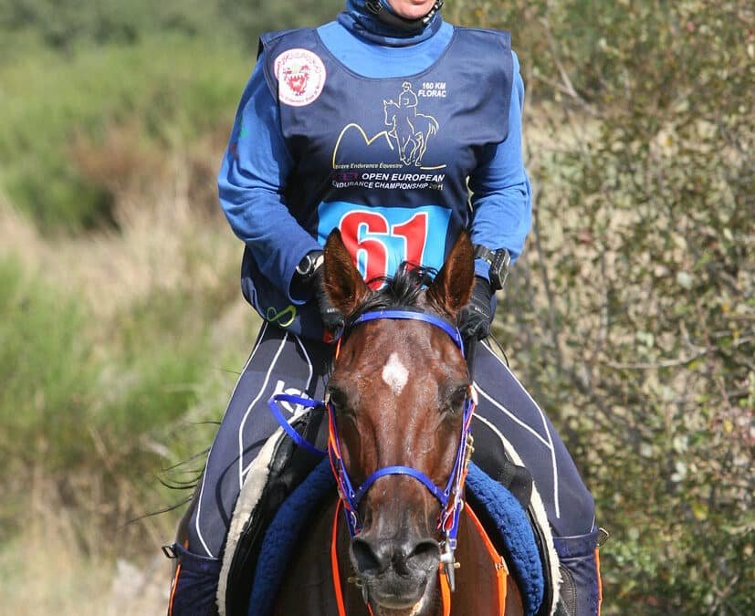 Al Jood Endurance Cup en Sant Feliu Sasserra