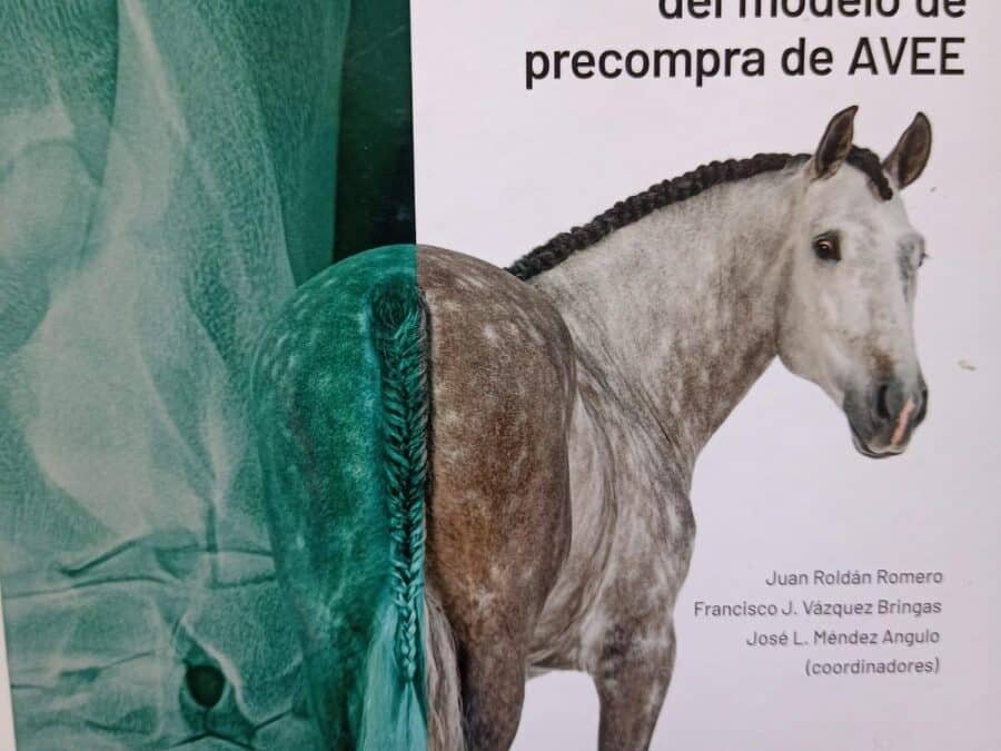Veterinarios internacionales especializados en equinos están avanzando en la unificación de criterios para las evaluaciones precompra