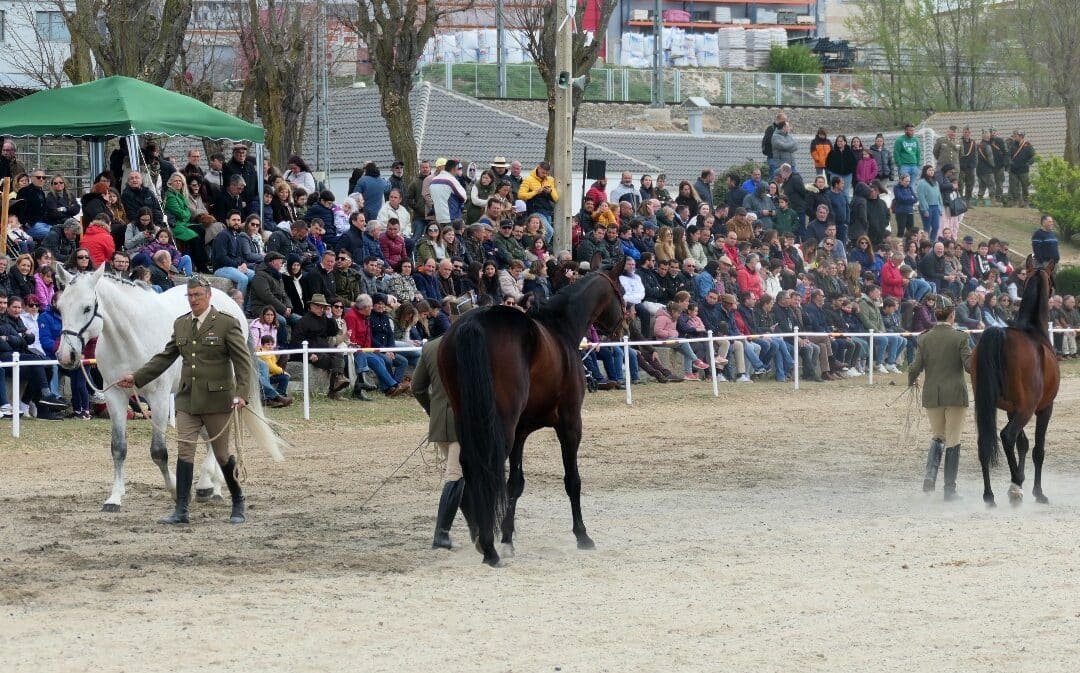 Silleda será el enclave de Equina del 11 al 13 de julio