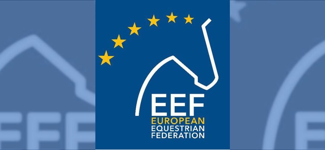 La Federación Ecuestre Europea consulta a sus miembros sobre la problemática del maltrato equino