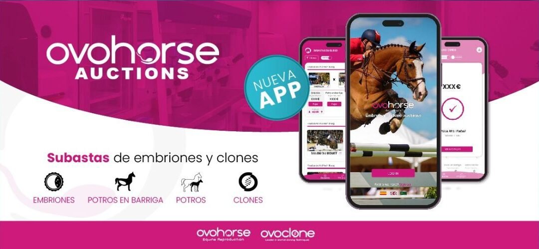 Nace Ovohorse Auctions, App de subastas de embriones y clones equinos