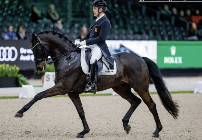 Severo Jurado obtiene el segundo lugar tras su impresionante actuación en el Gran Premio Freestyle del CDI4* en Lier