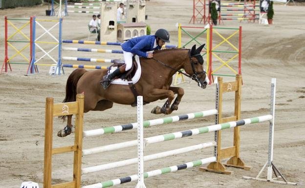 La Junta de Extremadura aprueba ayudas de 75.000 euros para fomentar la cría y doma de caballos en 2024