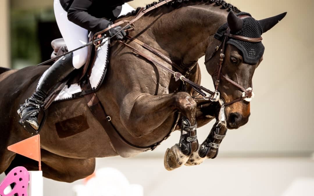 Victoria para Ellen Whitaker y ‘Korlenski’ en el Trofeo Ashford Farm
