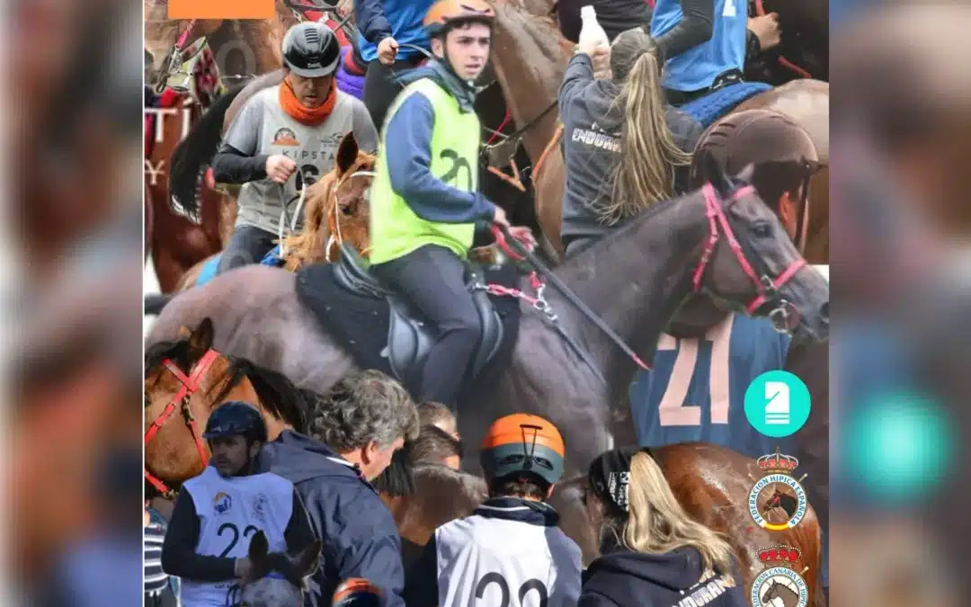 IV Raid Hípico Chanajiga en Los Realejos (Tenerife)