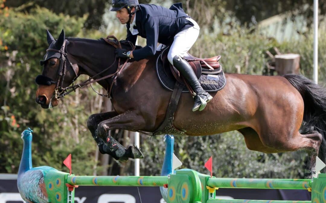 Eduardo Álvarez Aznar y Fernando De los Santos brillan en la última semana de XXX Andalucía Sunshine Tour