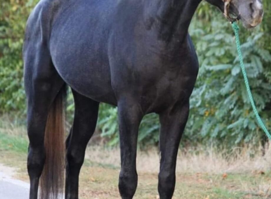 Joven promesa para Hugo Álvarez Amaro