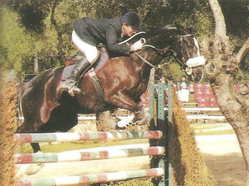 #horseofalifetime : “Mil Amores”