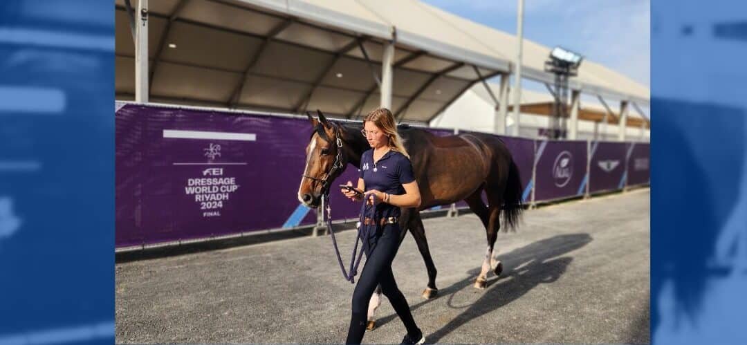 Cuenta atrás para la final de la Copa del Mundo de Doma Clásica – caballos y jinetes se reúnen en Riad