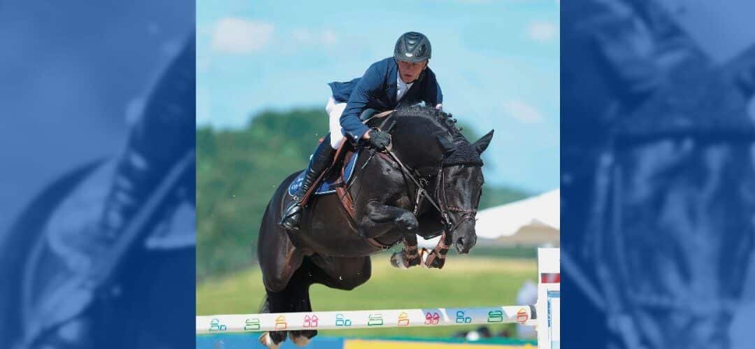 Diarado nombrado Mejor Semental del Año por Swedish Warmblood