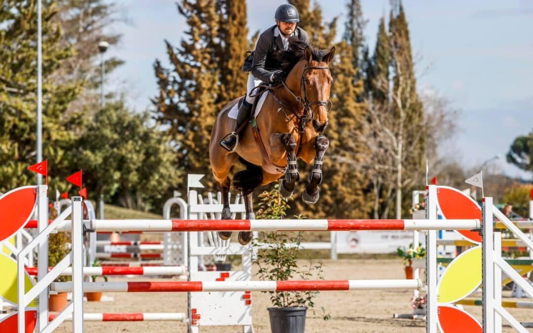 Adiós a Sindbad D’Auge de Alfonso Gredilla