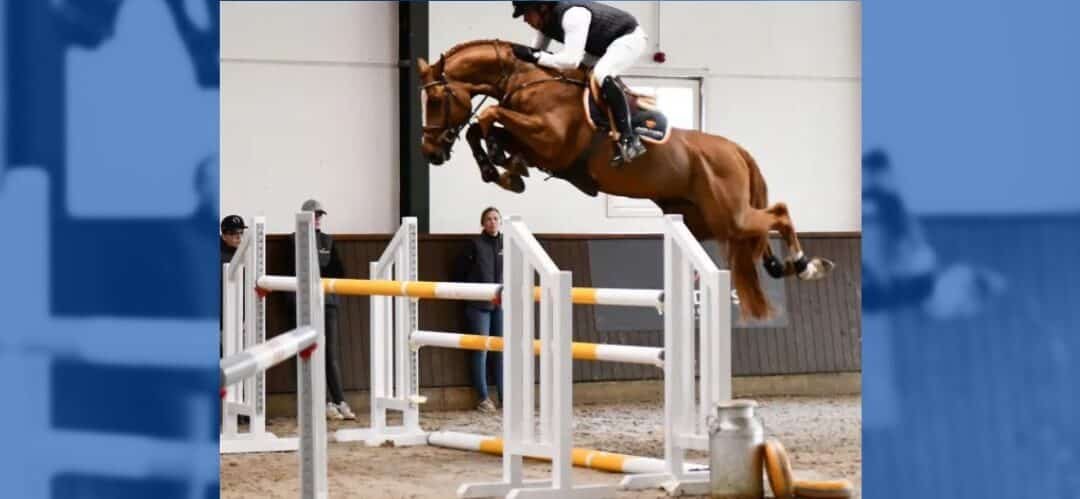 Harrie Smolders tiene un cambio en su cuadra